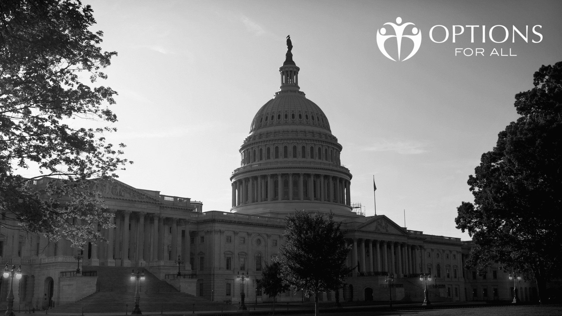 interior  banner image